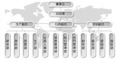 Organization structure